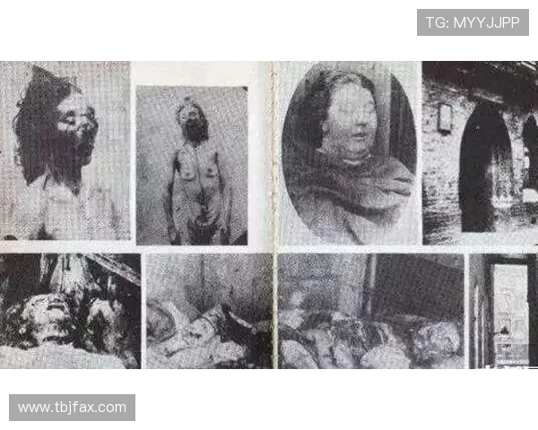 伦敦迷雾下的暗影：重探“开膛手杰克”百年悬案